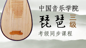 中国音乐学院琵琶考级【二级】