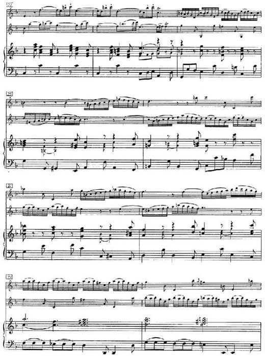 红楼梦小提琴协奏曲曲谱_红楼梦曲谱(5)