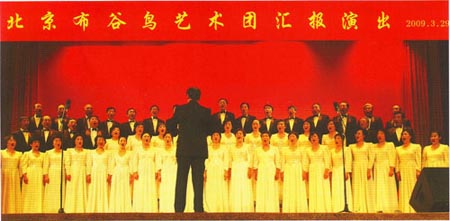 布谷鸟合唱团