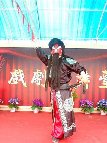 非物质文化遗产之菏泽大平调