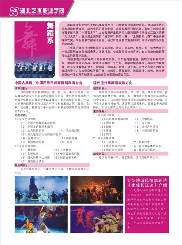 ְҵѧԺ2013赸ϵ