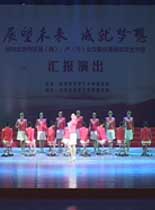 赸а졷2013ؾԭսĿ㱨ݳ