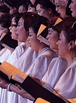ֻáŽ׿쳪2013´ֻ᡿