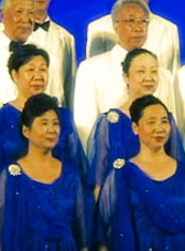 ɫ-׸ϸɲϳš2013ϳڱĻʽֻ᡿